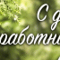 С Днём работников леса! - Федерация профсоюзов РБ