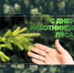 20 сентября - День работников леса - фото - 1 - Хиславичский район
