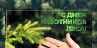 20 сентября - День работников леса - фото - 1 - Хиславичский район
