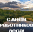 С Днем работников леса! - Департамент лесного хозяйства