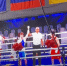Ярославский боксер выиграл два боя на Чемпионате Европы - Газета Новый вестник