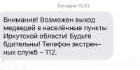 Массовую рассылку об угрозе медведей запустили в Иркутской области - SIA.RU