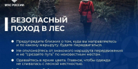 Собираетесь в лес? Не забывайте о безопасности! - ГУ МЧС Самарской области