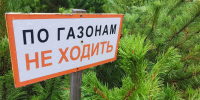 Не ходить - ИА Nord-News.Ru