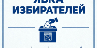Дали 50+. Явка на выборах в Ленобласти на полдень - 47 новостей