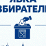 Явка на выборах в Ленобласти приближается к 50% - 47 новостей
