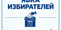 Явка на выборах в Ленобласти приближается к 50% - 47 новостей