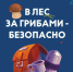 Так ли безопасна «тихая охота»? - МЧС России