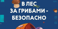 Так ли безопасна «тихая охота»? - МЧС России