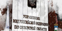 Орловская полиция отчиталась о резком падении уровня криминала - OrelTimes.Ru