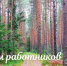С днём работников леса! - Администрация г. Переславля-Залесского