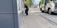 В Сыктывкаре на время закрыли три заведения из-за продажи алкоголя с нарушениями - Комсомольская Правда