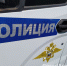 После расстрела домашнего кота полиция Армавира инициировала проверку - GorodArmavir.Ru