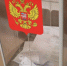 В Краснодарском крае стартовал третий день голосования на выборах депутатов Госдумы IX созыва - Департамент информационной политики