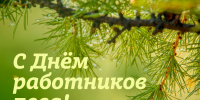 20 сентября – День работника леса - Газета Кузоватовские вести