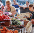 Фермеры со всего края привезут свою продукцию в Краснодар на «Кубанскую ярмарку» - LiveKuban.Ru