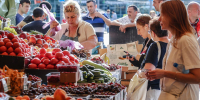 Фермеры со всего края привезут свою продукцию в Краснодар на «Кубанскую ярмарку» - LiveKuban.Ru