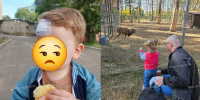 Власти прокомментировали нападение муфлона на мальчика в воронежском зоопитомнике - ГТРК Воронеж