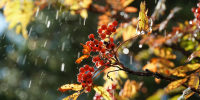 Небольшой дождь - MyOmutninsk.Ru