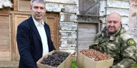 Дубравы и орешники вырастут под Костромой - K1News.Ru