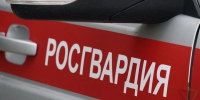 Росгвардейцы пресекли 49 правонарушений за неделю в Тульской области - Комсомольская Правда