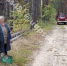 В Чаплыгинском округе спасатели нашли заблудившуюся в лесу 91-летнюю пенсионерку - LipetskNews.Ru