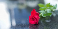 Фото: Dragana Gordic/Shutterstock/Fotodom - Ямал-Медиа