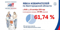 В Белгородской области явка избирателей на 18:00 составила 61,74% - Комсомольская Правда