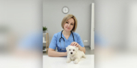 Секреты здоровья четвероногих друзей - Наше время