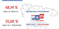 Приближаемся к 70%: озвучена свежая явка избирателей по Воронежской области - Bloknot-Voronezh.Ru