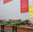 article23425.jpg - 59i.Ru