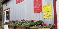 article23425.jpg - 59i.Ru
