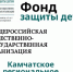 Уполномоченный по правам ребенка в Камчатском крае И.Э. Койрович назначена председателем организации «Фонд защиты детей» в Камчатском крае - Уполномоченный по правам ребенка