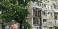 На проспекте Мира напротив «Зари» спилили огромное дерево: горожане переживают за два соседних (фото) - Новости Калининграда | Фото: очевидцы - Klops.Ru