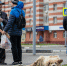 Три судьбы одного пса: сколько стоит жизнь бездомной собаки в Тульской области - ИА Тульская служба новостей