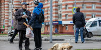 Три судьбы одного пса: сколько стоит жизнь бездомной собаки в Тульской области - ИА Тульская служба новостей