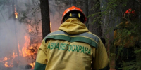 Три лесных пожара ликвидировали на прошлой неделе в Хабаровском крае - Правительство Хабаровского края