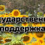 Минсельхоз Крыма объявляет приём документов на гранты для малого агробизнеса - Минсельхоз Республики Крым