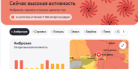 В Новочеркасске ожидается высокая концентрация пыльцы амброзии - DonDay-Novocherkassk.Ru