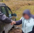 В лесу Карелии несколько часов искали мужа и жену - Gubdaily.Ru