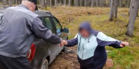 В лесу Карелии несколько часов искали мужа и жену - Gubdaily.Ru