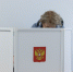 Фото: ПАИ. Изображение носит иллюстративный характер - InformPskov.Ru