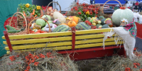 Фото пресс-службы министерства сельского хозяйства Забайкалья - 75rus.Org