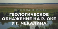 Чекалинский памятник природы на Оке раскрыл геологам тайны плейстоцена - Молодой коммунар