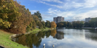 На рабочей неделе в Калининградской области похолодает до +16°С - Kaliningrad.Ru