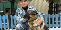 В Улан-Удэ собака Классик Аллерт Аргус нашла похитительницу обогревателя - ИА Байкал-Daily