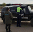 В Бурятию не пропустили полсотни коров без документов - ИА Байкал-Daily