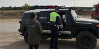 В Бурятию не пропустили полсотни коров без документов - ИА Байкал-Daily