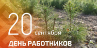 Олег Николаев поздравляет с Днём работников леса - Министерство природных ресурсов и экологии