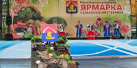 Во Всеволожске пройдет сельскохозяйственная ярмарка - Всеволожские вести онлайн
